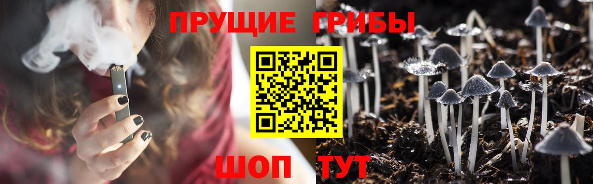 Галлюциногенные грибы мухоморы  Вход с VPN  Галлюциногенные грибы ЛСД  Верхняя Пышма 